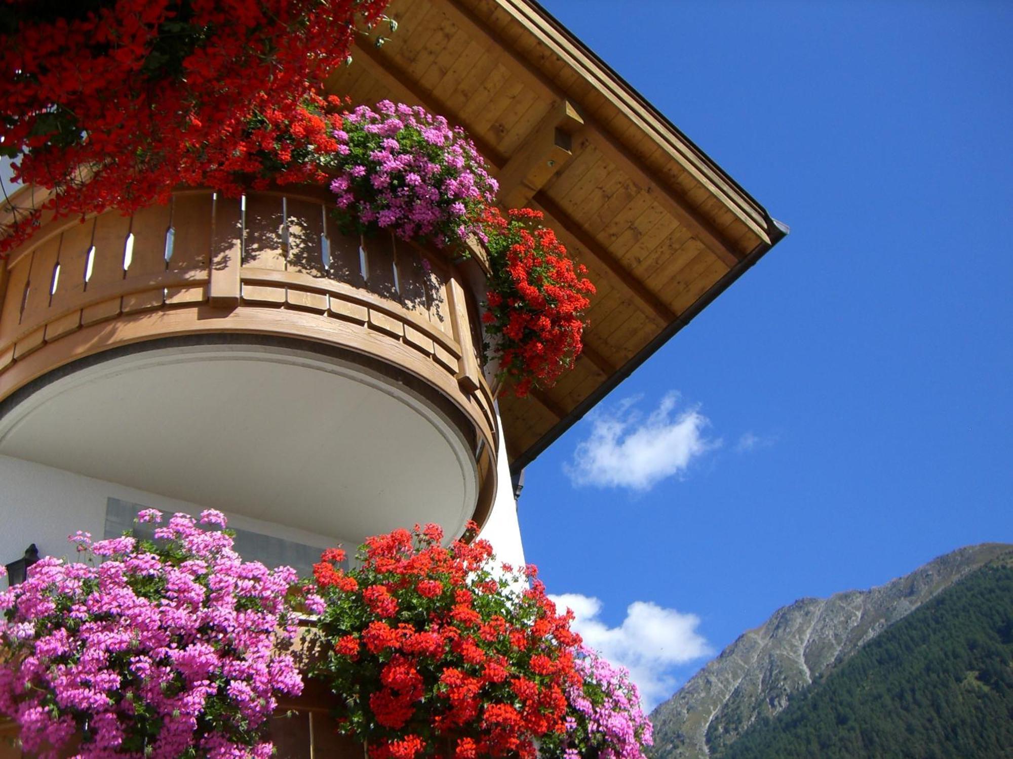 Hotel Alpenrose Suites&apartements 3*