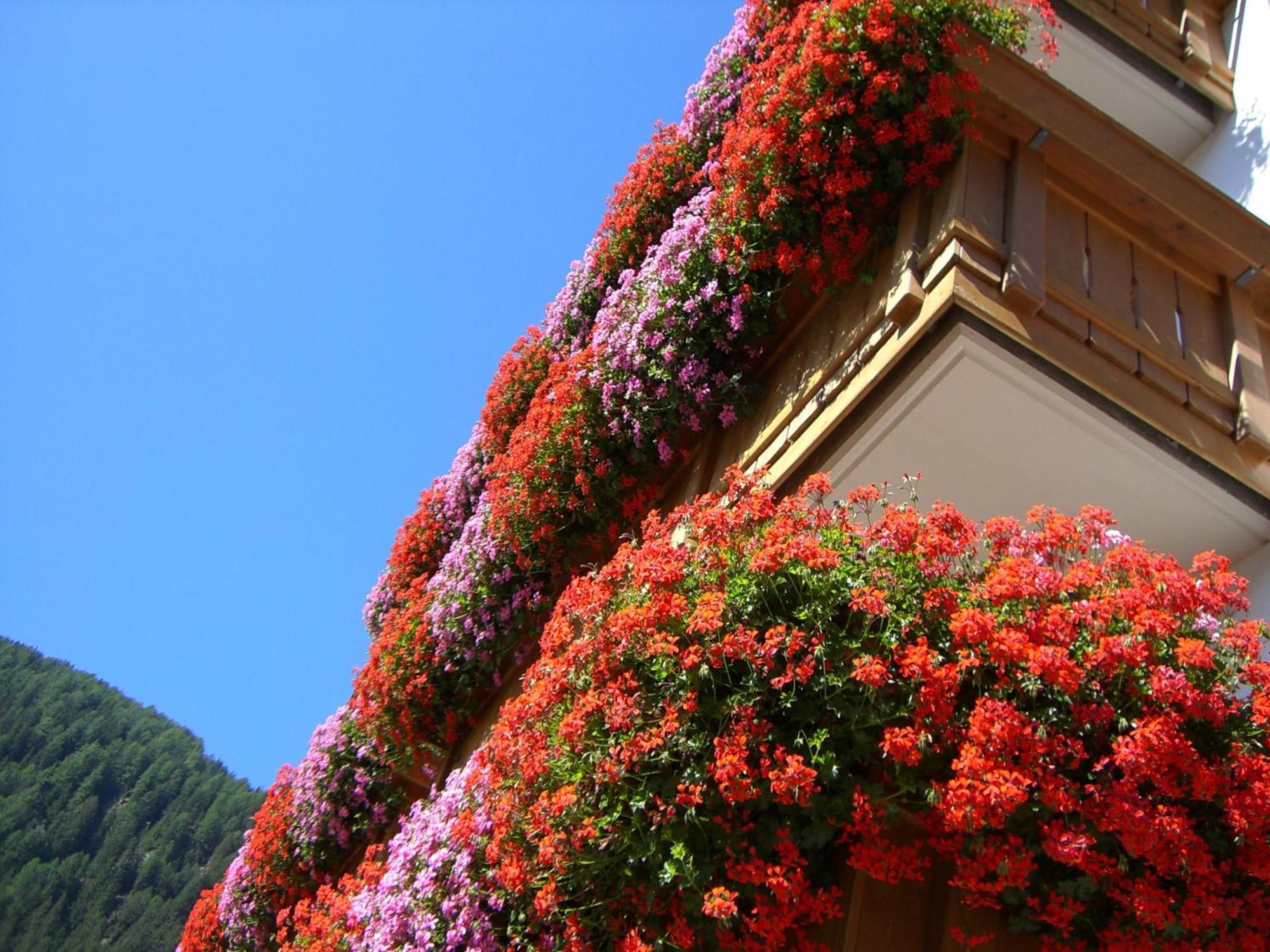 Alpenrose Suites&apartements Hotel Vals