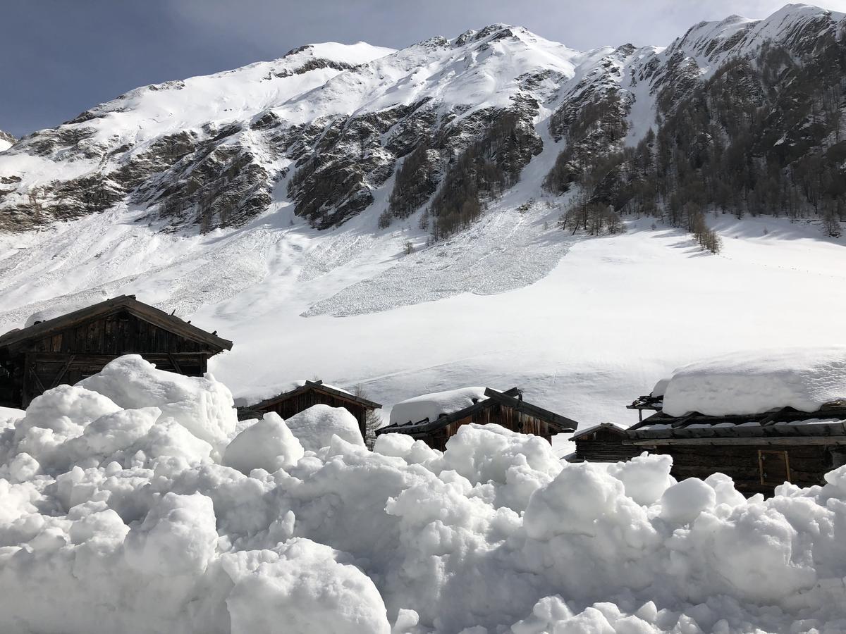 Alpenrose Suites&apartements Hotel 3*